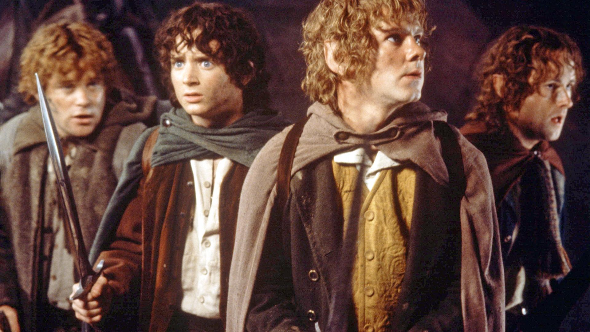 Władca Pierścieni: Drużyna Pierścienia