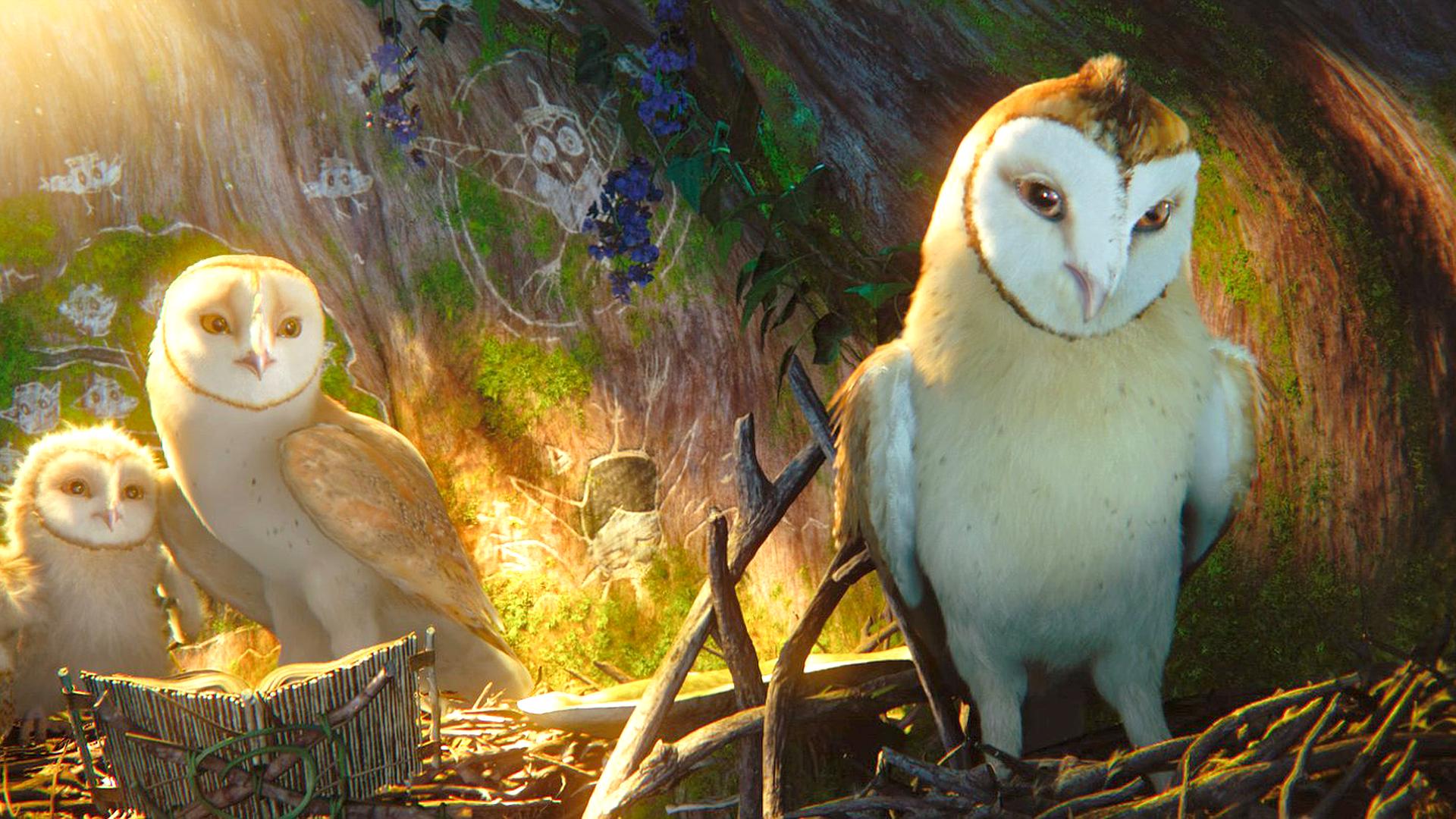 Legendy sowiego królestwa: Strażnicy Ga'Hoole