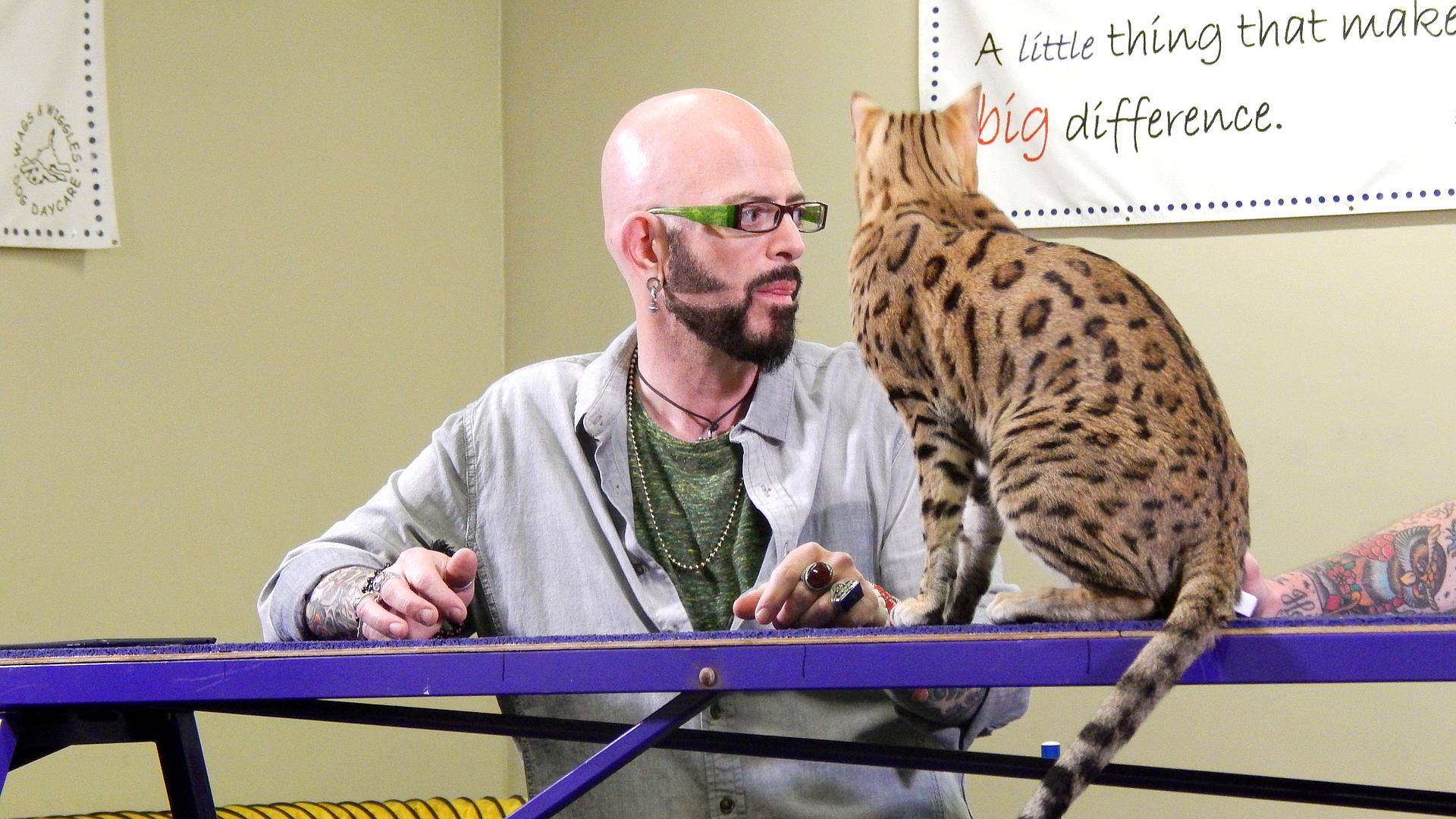 Animal Planet