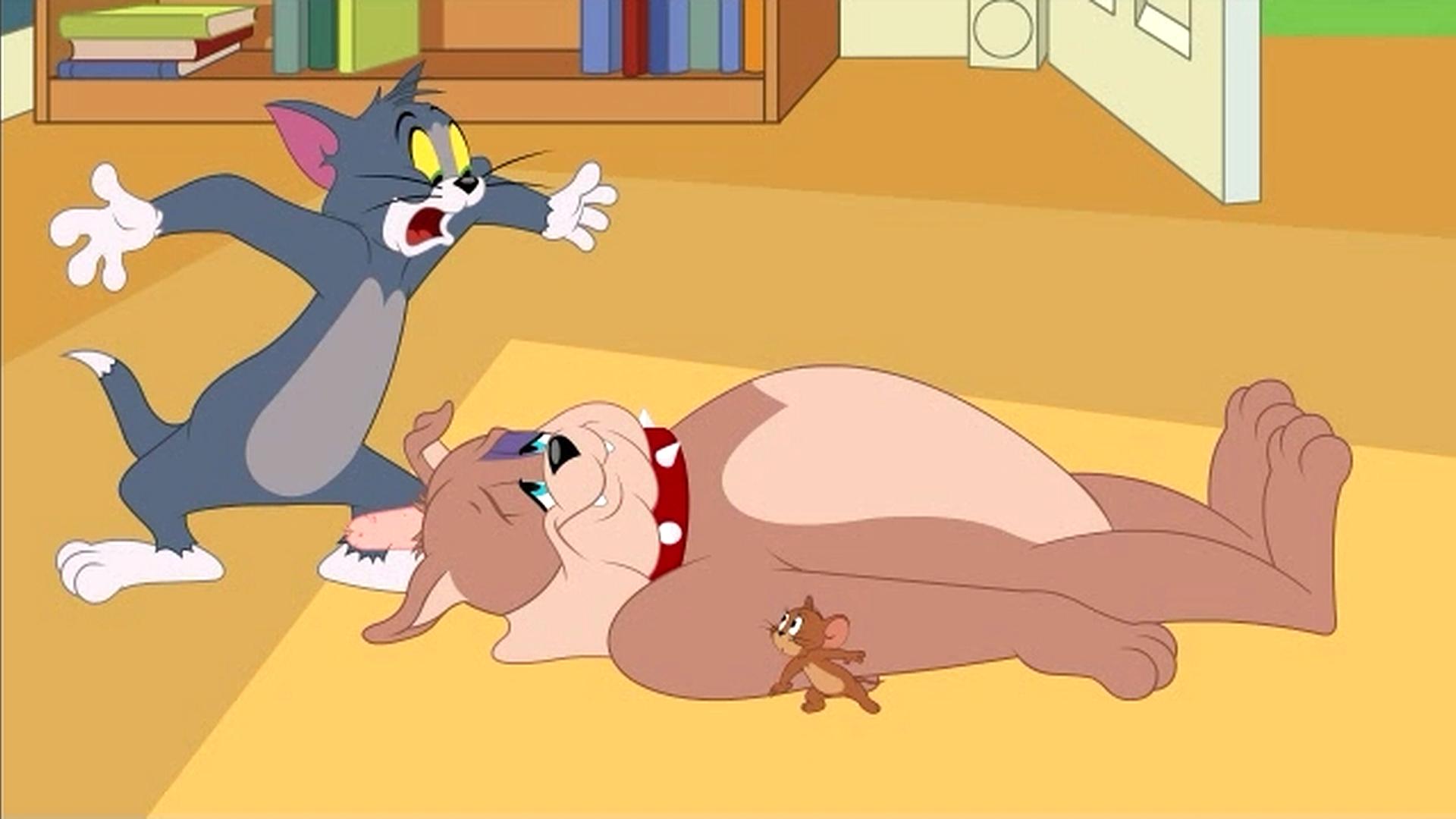 Tom i Jerry Show 2