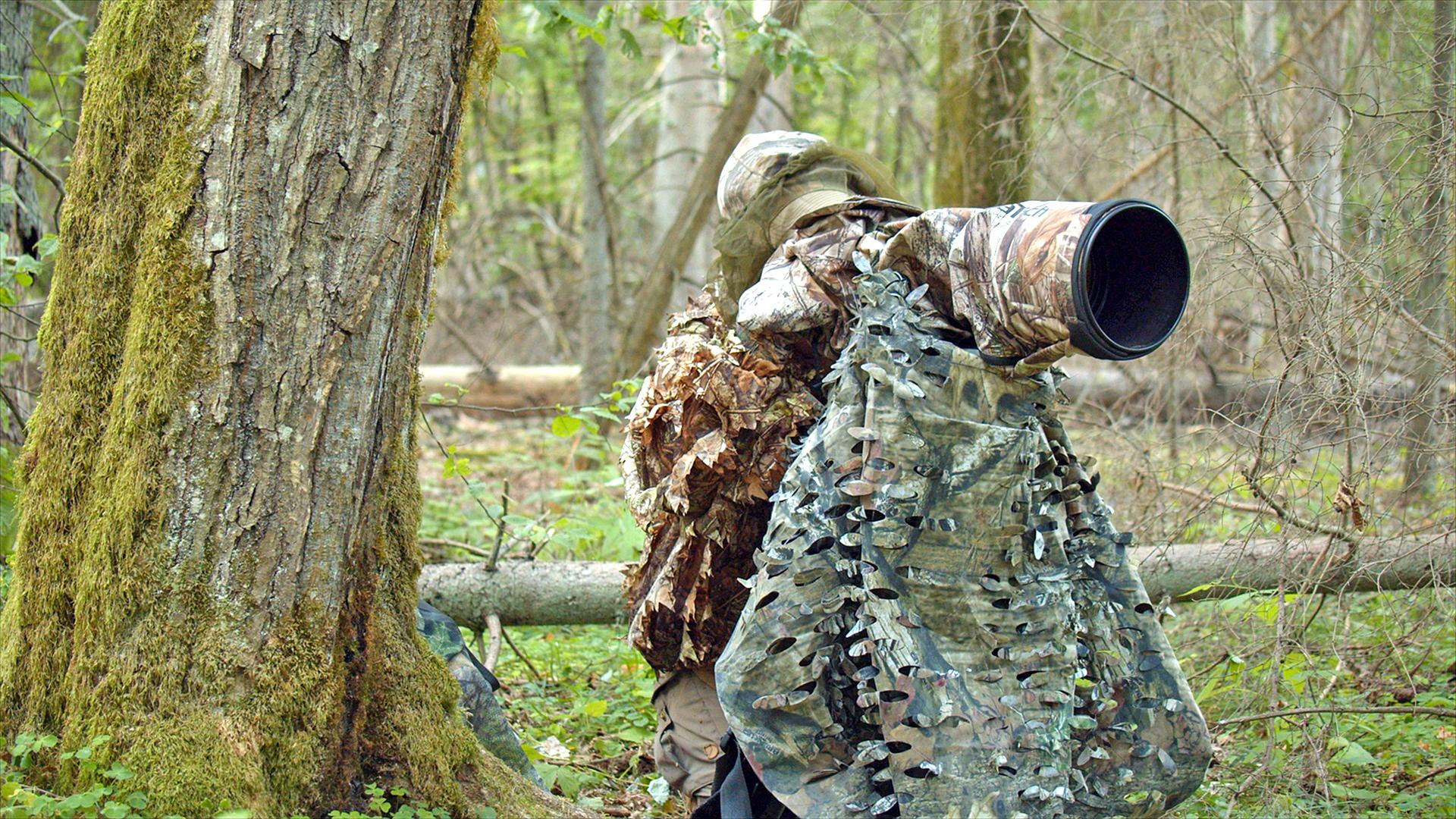 Zwierzęta Wajraka