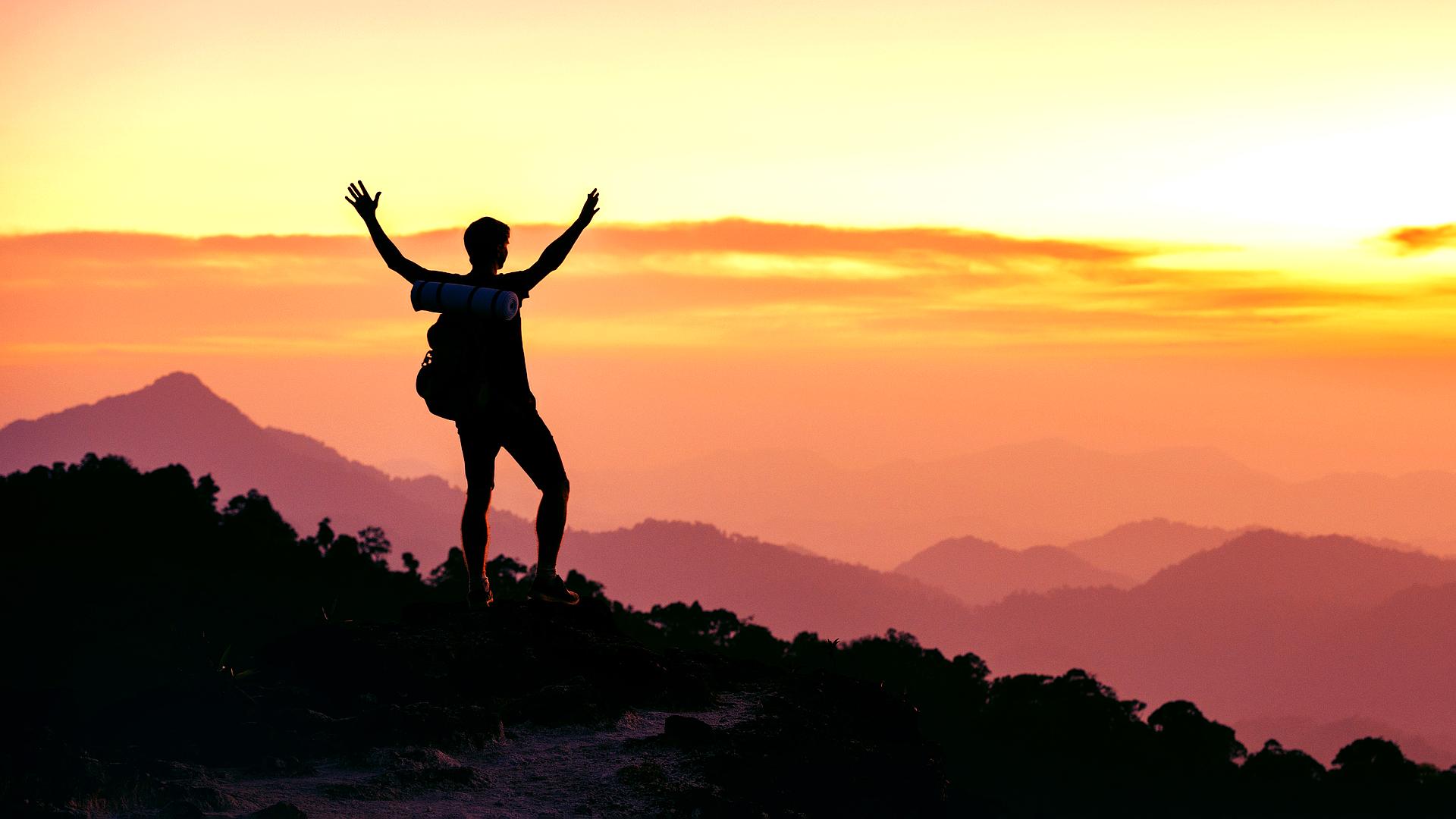 Wojownicze żółwie ninja: Wyjście z cienia