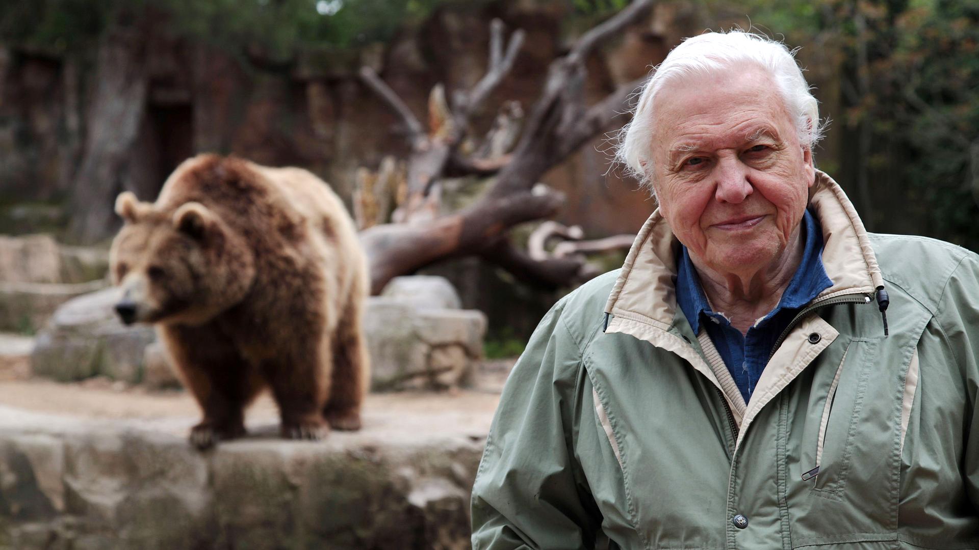 David Attenborough i cuda natury 4