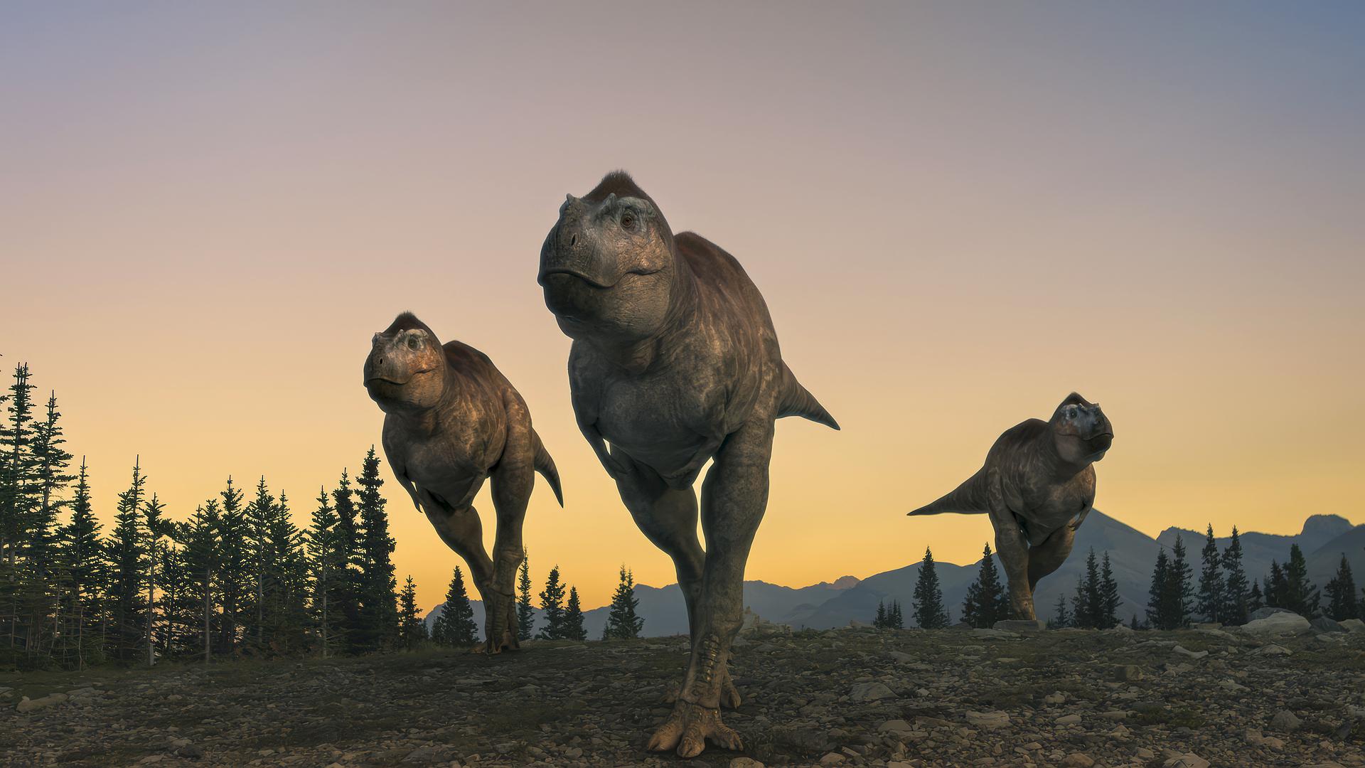 Wędrówki z dinozaurami
