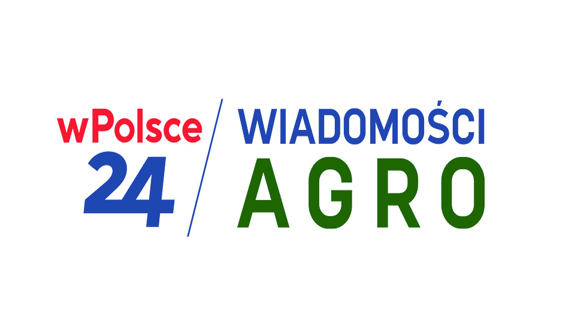 wPolsce24