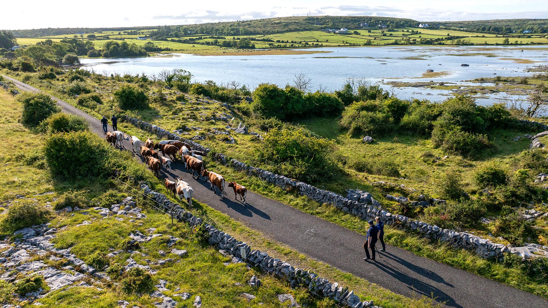 Parki narodowe z lotu ptaka: Irlandia