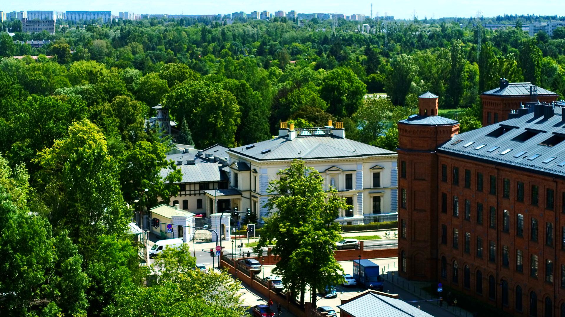 Kino Polska